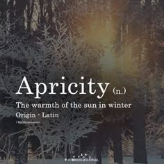 an image of the words apricity in front of trees and snow covered ground