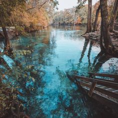 the water is very blue and clear in this area with some trees on either side