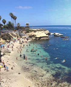 many people are swimming in the clear blue water