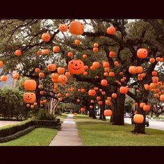 many orange pumpkins are hanging from trees in the park with faces drawn on them