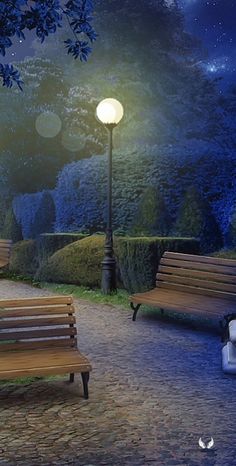 two park benches sitting next to each other under a street light at night with stars in the sky