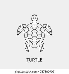 a turtle with the word turtle on it's chest and head in geometric shapes