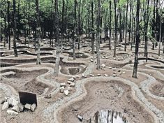 a dirt road in the middle of a forest filled with lots of trees and rocks