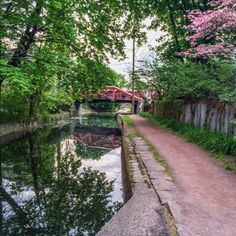 a river running through a lush green forest next to a bridge with a red roof