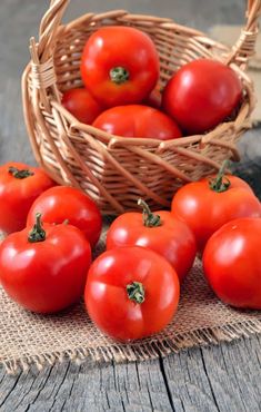 a basket filled with red tomatoes sitting on top of a wooden table