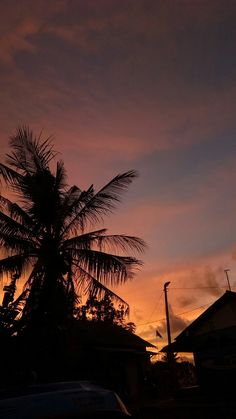 a palm tree is silhouetted against the evening sky