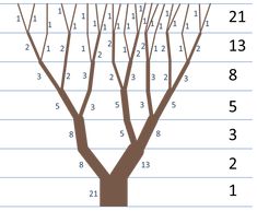 an image of a tree with numbers on it and the leaves are numbered in brown