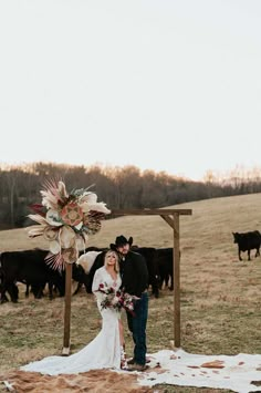 a bride and groom standing in front of cattle