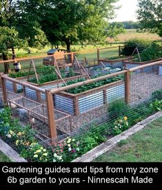 an outdoor garden with lots of plants growing in it