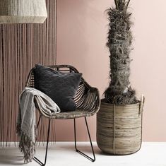 a plant in a basket next to a wicker chair with a pillow on it