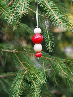 two red and white ornaments hanging from a pine tree