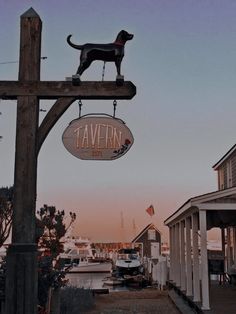 a dog is standing on top of a tavern sign