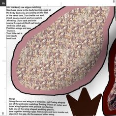 an image of the inside of a woman's body and her stomach, with information about it