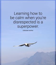 a bird flying in the sky with a quote about learning how to be calm when you're disrespected is a super power