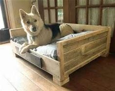 a dog laying on top of a bed made out of wooden planks and pallets