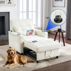 a dog laying on the floor in front of a white couch with a blue light behind it