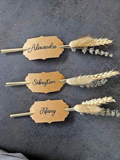 three wooden signs with names on them sitting next to some wheat stalks and other items