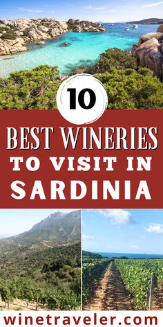 the best wineries to visit in sardina