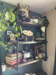 a cat sitting on top of a wooden shelf next to a potted plant and books