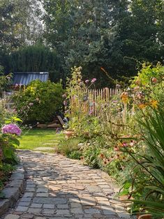 a garden with lots of plants and flowers