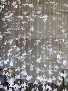 many white birds flying in the air over a window with raindrops on it