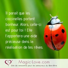 a ladybug sitting on top of a green plant with the words magic love in french