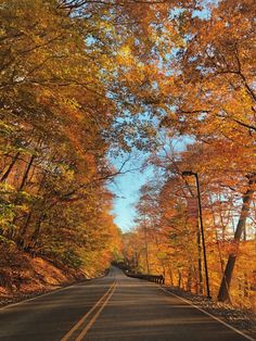 an empty road surrounded by trees in the fall