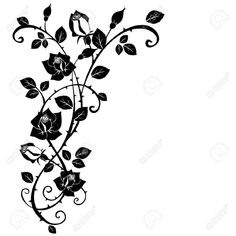 black and white floral vine with leaves on a white background stock photo - 957982