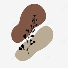 two brown and black leaves on a white background, illustration, graphic png and psd