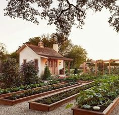 an outdoor garden with lots of vegetables and plants growing in the ground next to a house