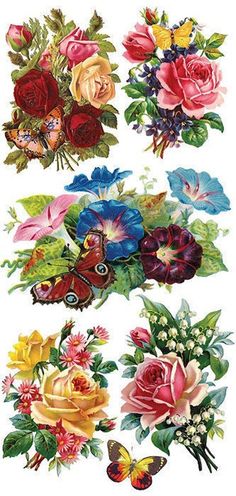 flowers and butterflies are shown in this image, with the colors red, yellow, blue, and green