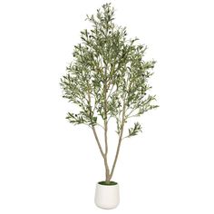 7 ft. tall faux Olive tree with white tall planter.This artificial Olive tree with natural wood trunk and lifelike fruits for home office decor.Stay Green,Stable & Durable,Maintenance Free and Environmental Friendly.LEAVES AND FRUITS: Featuring a texture design that mimics the real thing.PLANTERS:Constructed from robust materials.TRUNKS:Crafted design close to nature.NO MAINTENANCEForget about watering schedules or sunlight requirements. Our faux greenery requires zero care, A simple feather dusting oncea month will keep your plants looking fresh and vibrant. Enjoy the beauty of nature without the upkeep, leaving you more time for the things you love.PERFECT FOR EVERY LIFESTYLE AND STYLEOur faux plants are the perfect addition regardless of your lifestyle or design preferences. ldeal for h Artificial Olive Tree, Gray Planter, Faux Olive Tree, Plastic Planter, Wood Trunk, Tall Planters, Plastic Planters, Faux Greenery, White Planters