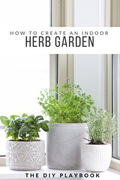 the diy playbook how to create an indoor herb garden