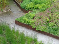 an aerial view of a garden with green plants and flowers on the side walk way