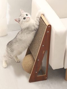 a gray and white cat standing on its hind legs next to a scratching board that is attached to the back of a couch