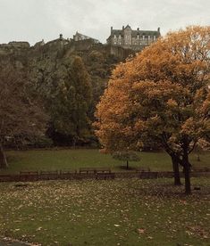 a large castle on top of a hill with trees in the foreground