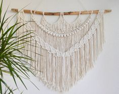 a wall hanging made from macrame and rope with a plant in front of it