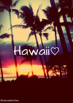 some palm trees and the words hawaii over them with a sunset in the background