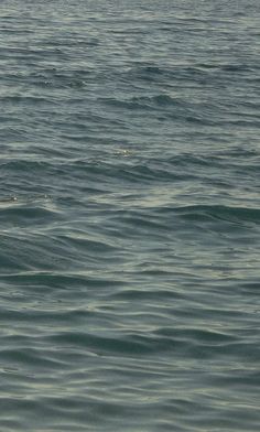 a person riding a surfboard on top of a wave in the middle of the ocean