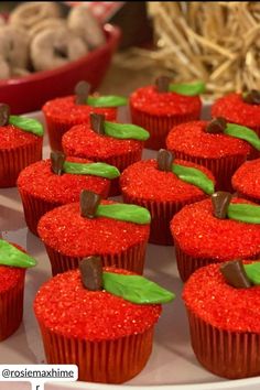 Apple-themed cupcakes for a fall first birthday party girl, featuring vibrant red icing and green leaf decorations. These adorable treats are perfect for fall baby first birthday party ideas girl, adding a fun and festive touch. Ideal for girls' first birthday party fall ideas, these cupcakes highlight creative first birthday party ideas girl fall that are both sweet and seasonal. Save this idea for your fall first birthday girl celebration! Fall First Birthday Party Ideas, Fall First Birthday Party, First Birthday Party Girl, Fresh Apple Recipes, Party Ideas For Girls, Fall First Birthday, Catering Platters, Apple Birthday