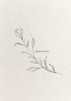 a drawing of some flowers on a white surface