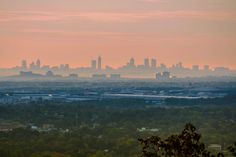 the city skyline is seen in the distance with trees and bushes on either side of it