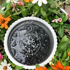 a black and white plate sitting on top of flowers in a pot filled with water