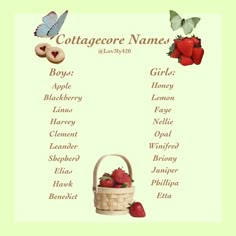 an image of a list of names for someone who likes to have strawberries in their basket