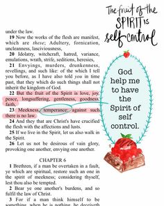 the fruit of the spirit and self - control text with an image of strawberries