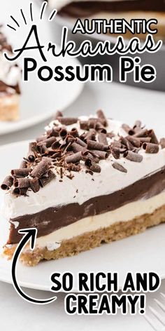 a piece of pie with chocolate and cream toppings