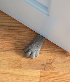 a cat's paw sticking out from under a door handle on a wooden floor