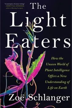 the light eaters how the unseen world of plant intelligence offers a new meaning of life on earth