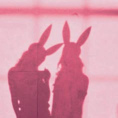 the shadow of two people with bunny ears on their heads, standing next to each other