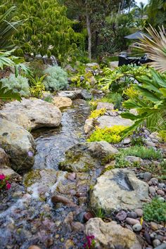 a small stream running through a lush green forest filled with rocks and flowers, surrounded by greenery